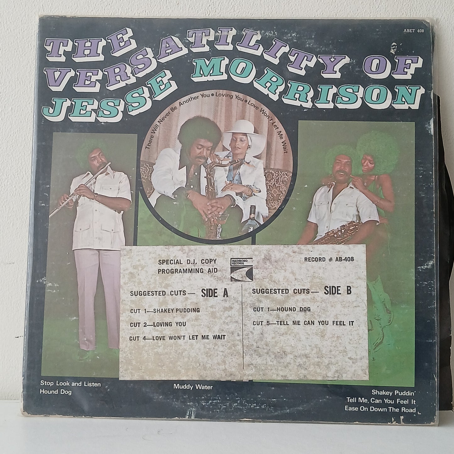 Jesse Morrison – The Versatility Of Jesse Morrison (Used LP)