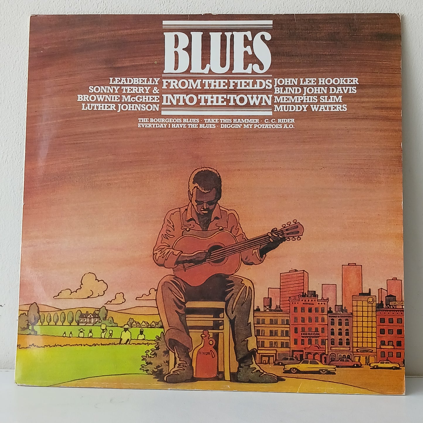 Various – Blues - From The Fields Into The Town (Used LP)
