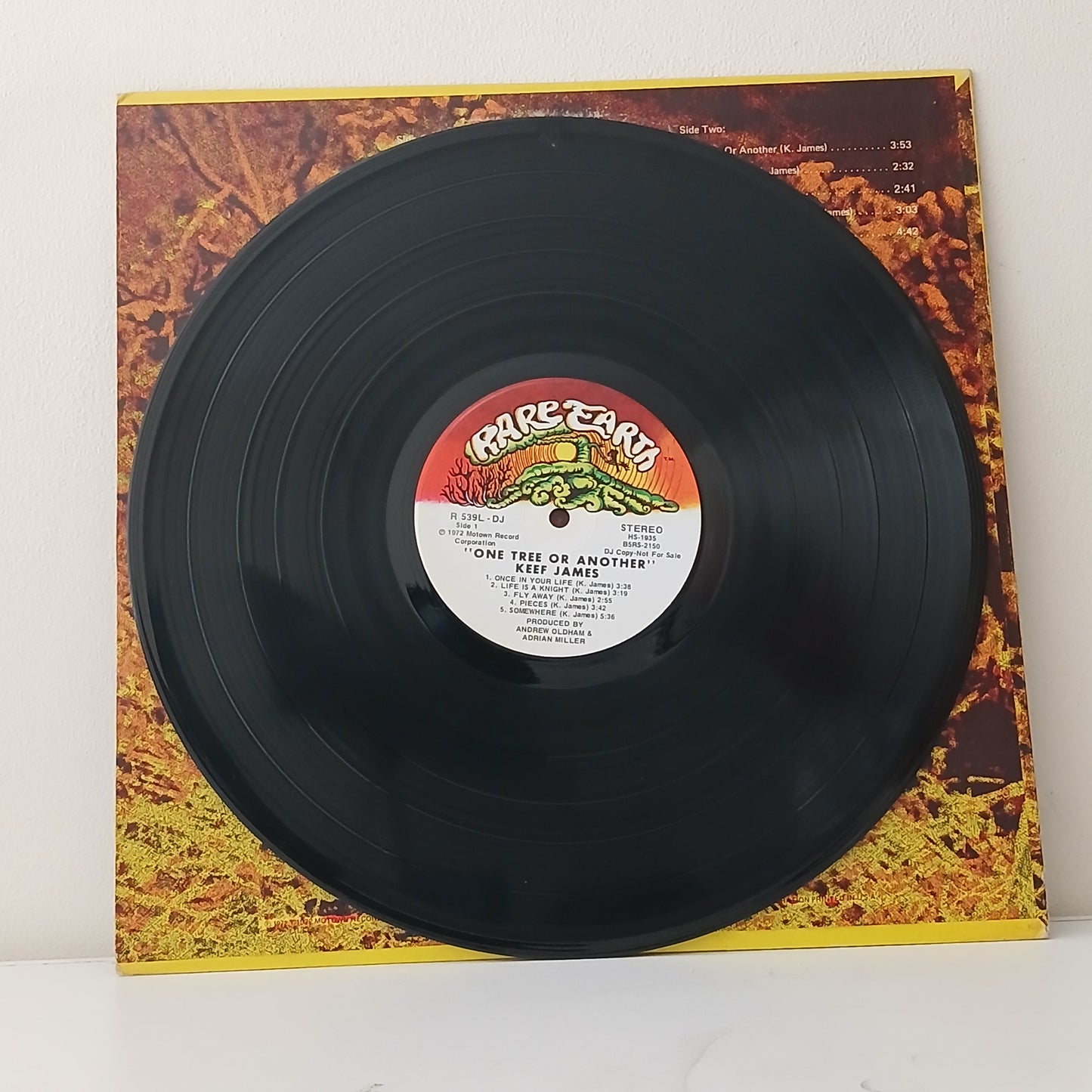 Keef James – One Tree Or Another (Used LP)