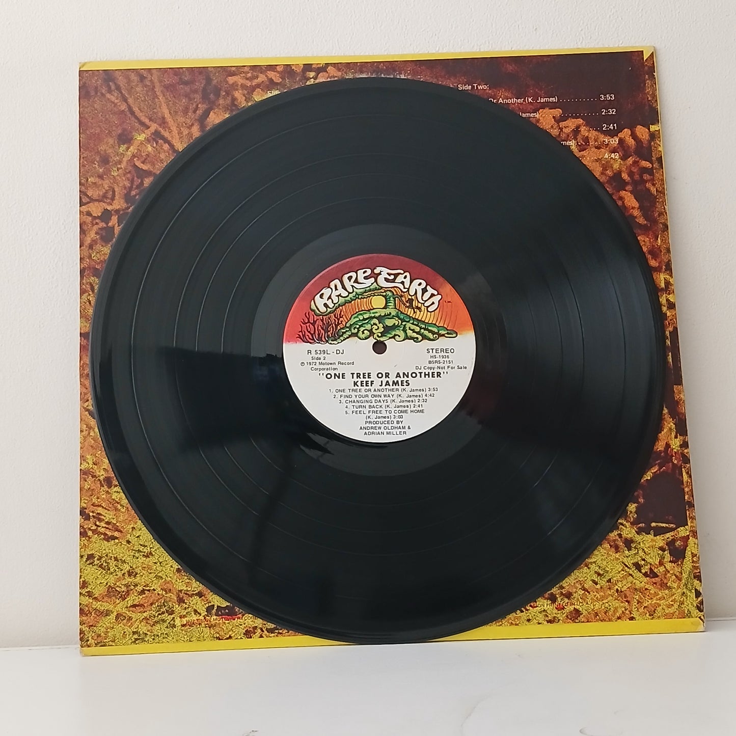 Keef James – One Tree Or Another (Used LP)