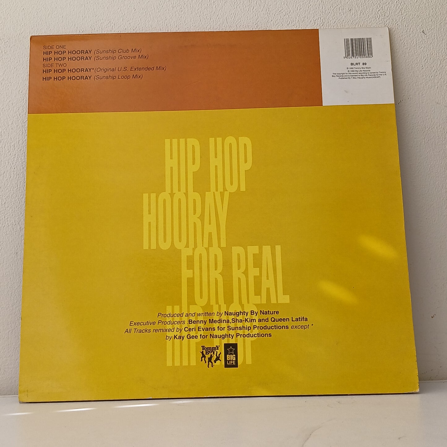 Naughty By Nature – Hip Hop Hooray (Used 12")