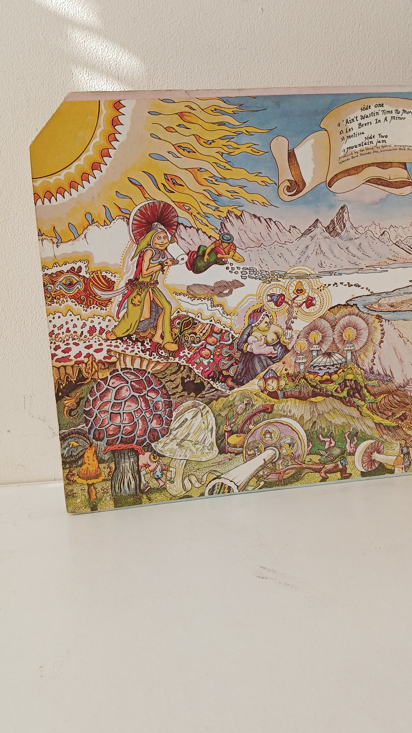The Allman Brothers Band – Eat A Peach (Used 2LP)