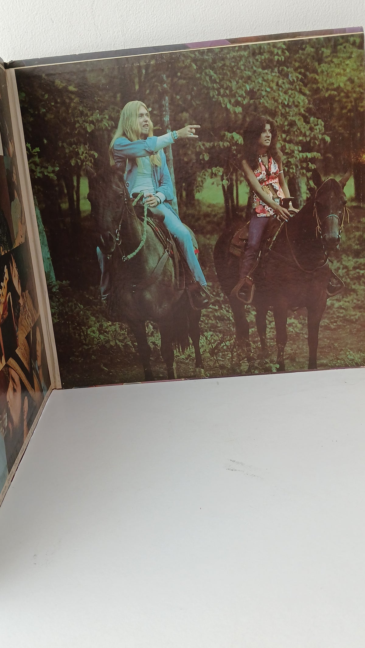 Gregg Allman – Laid Back (Used LP)