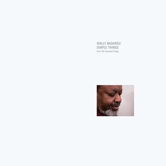 Wally Badarou - Simple Things  (Vinyl LP) PRE-ORDER