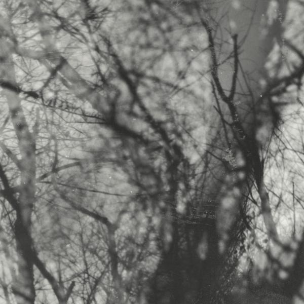 Grouper - Way Their Crept  (Vinyl LP) PRE-ORDER