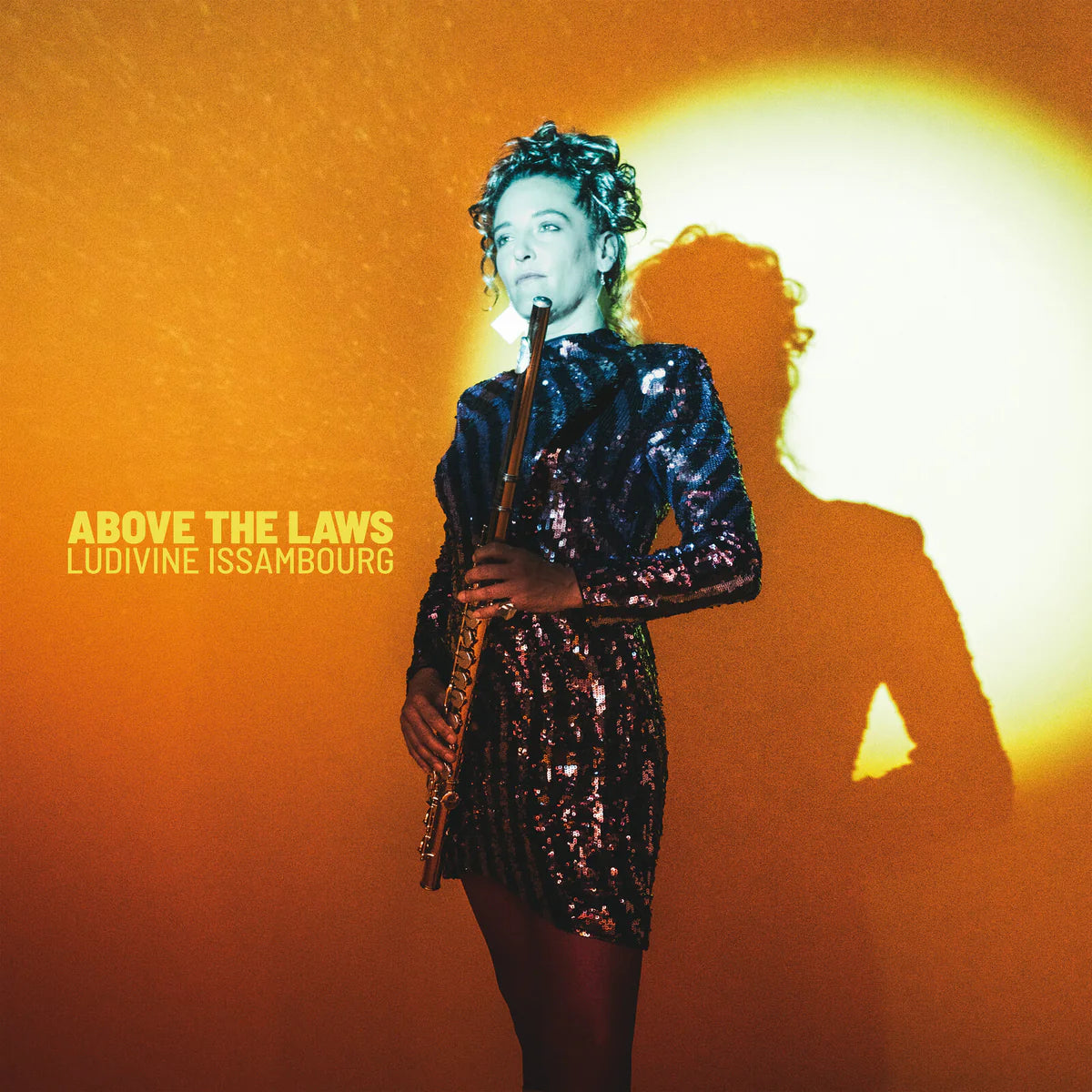 Ludivine Issambourg - Above The Laws (Vinyl LP) PRE-ORDER