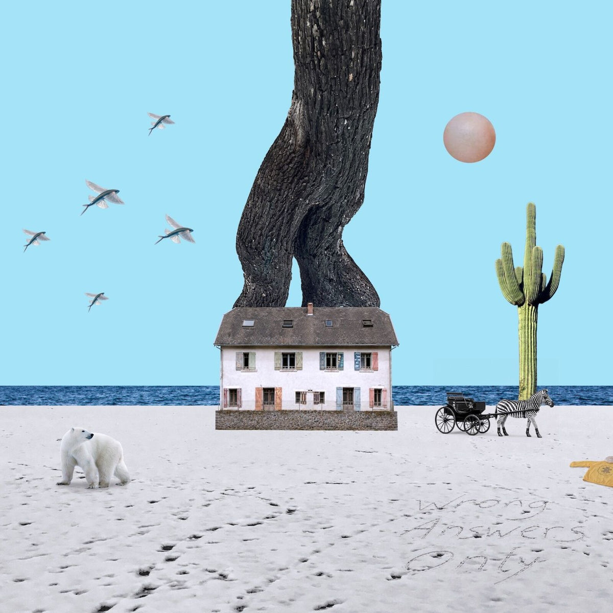 Who Parked The Car - Wrong Answers Only  (Vinyl LP) PRE-ORDER
