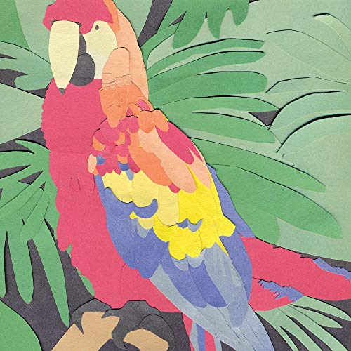 Algernon Cadwallader - Parrot Flies BLACK VINYL (Vinyl LP) PRE-ORDER