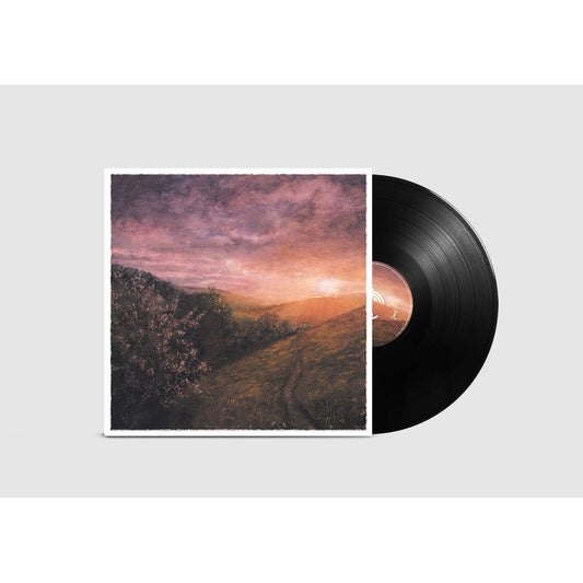 Sam Sweeney & Grace Smith - Morning Of May  (Vinyl LP) PRE-ORDER