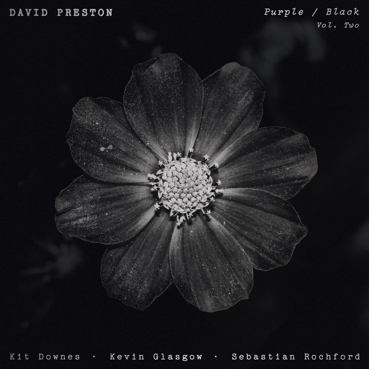 David Preston - Volume 2 - Purple/Black (Vinyl LP) PRE-ORDER