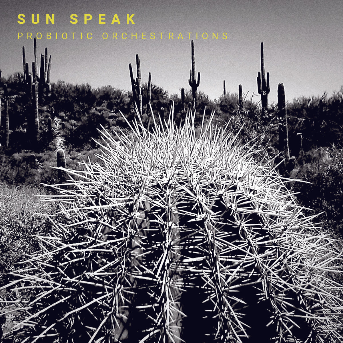 Sun Speak - Probiotic Orchestrations  (Vinyl LP) PRE-ORDER