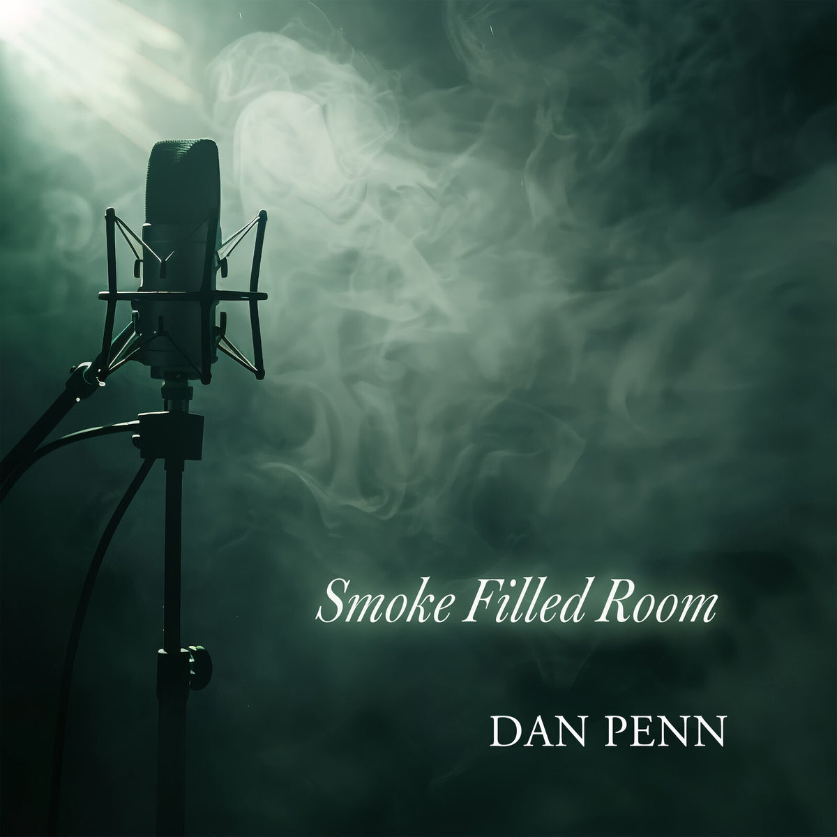 Dan Penn - Smoke Filled Room LTD EDITION 2LP (Vinyl LP) PRE-ORDER