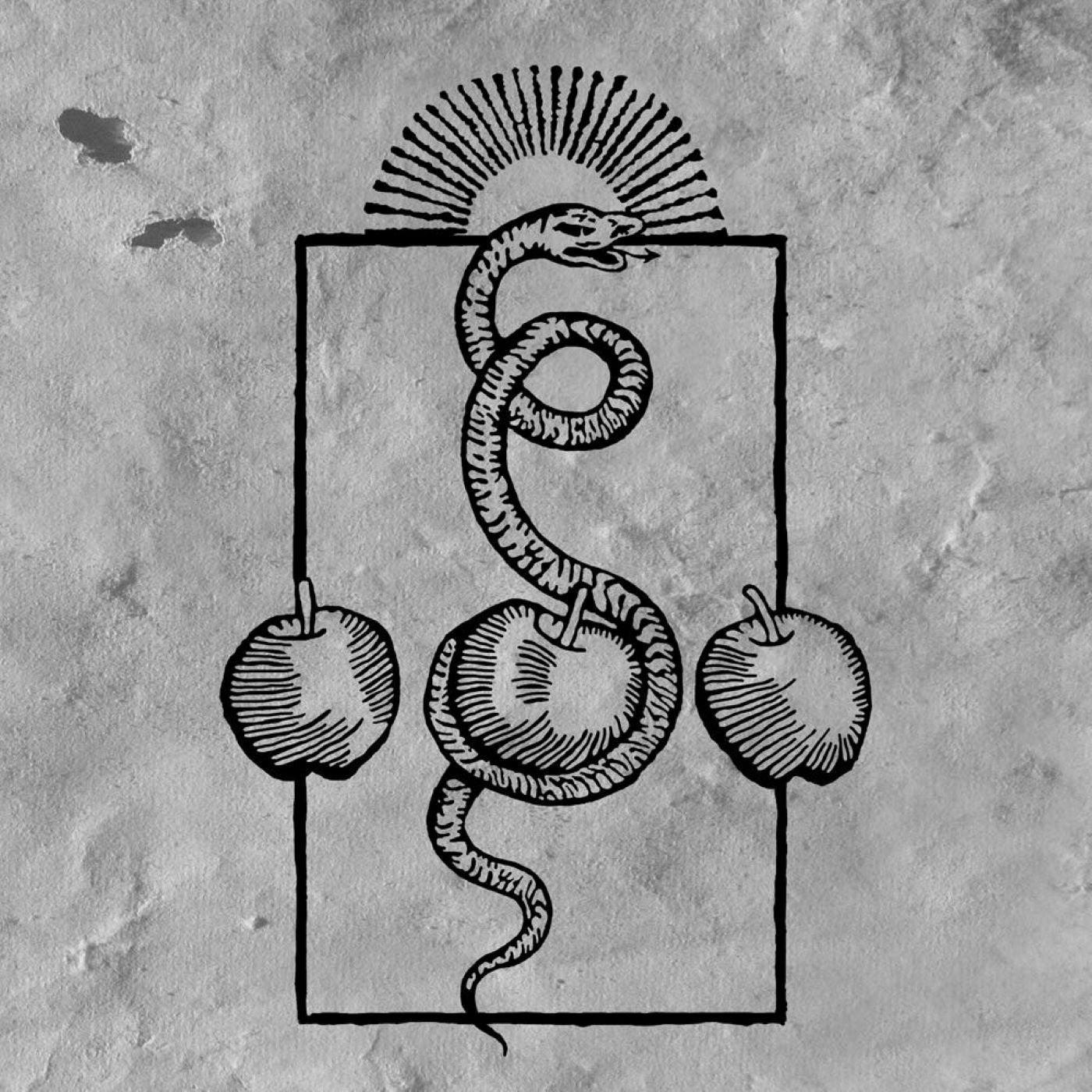 Darvaza - We Are Him  (Vinyl LP) PRE-ORDER