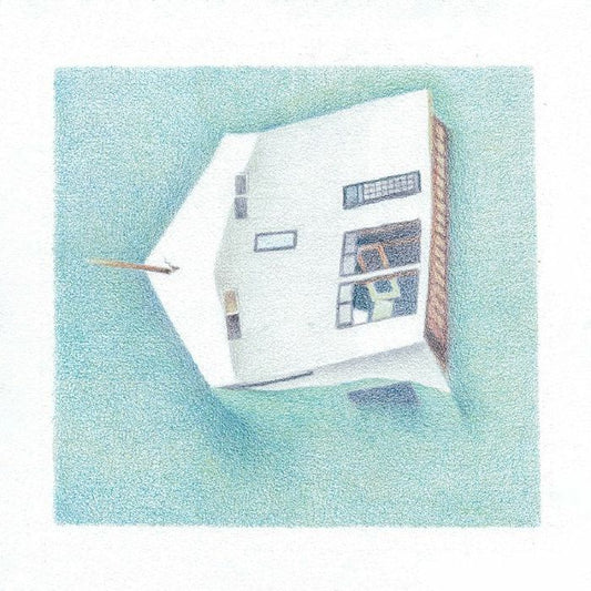 Danny Scott Lane - House Of Alice  (Vinyl LP) PRE-ORDER