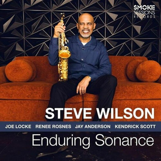 Steve Wilson - Enduring Sonance  (Vinyl LP) PRE-ORDER