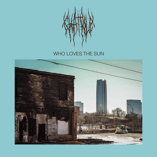 Chat Pile - Who Loves The Sun BLACK LP (Vinyl LP) PRE-ORDER