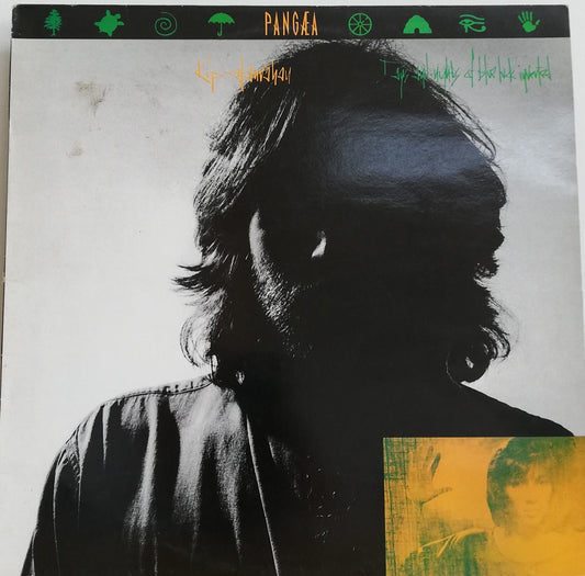 Kip Hanrahan ‎– Days And Nights Of Blue Luck Inverted (Used Vinyl LP)