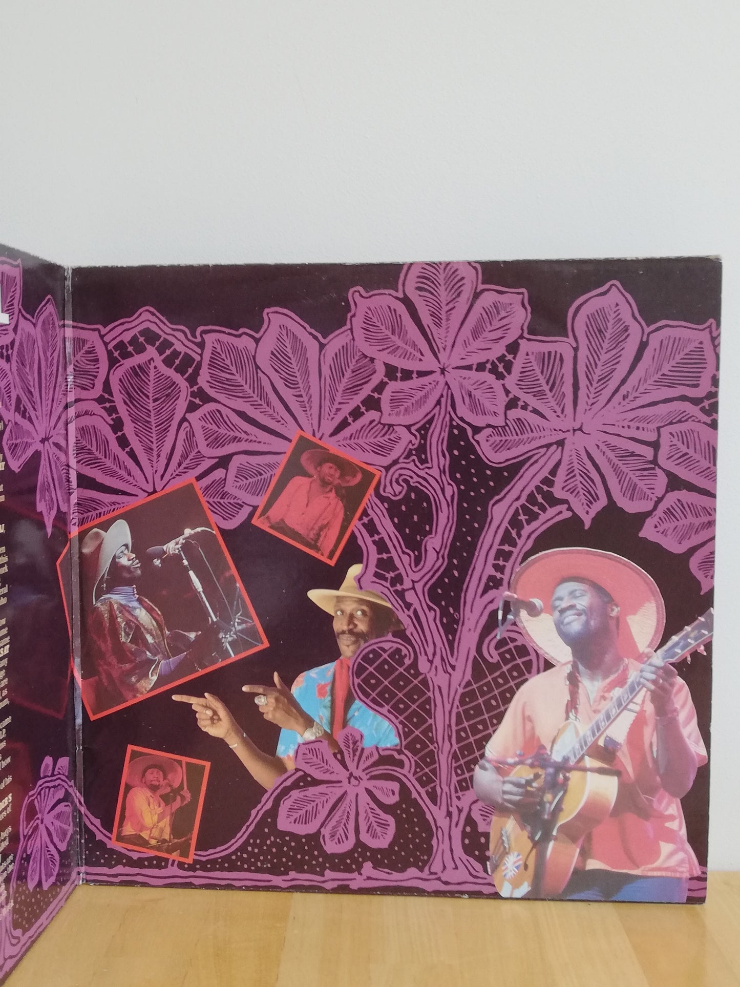 Taj Mahal – The Collection (Used 2LP)