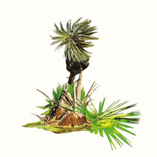 Lagoss - Música Para Plátanos  (Vinyl LP) PRE-ORDER