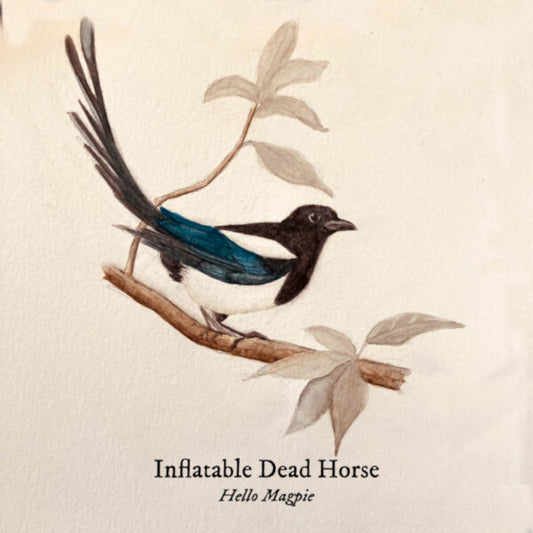 Inflatable Dead Horse - Hello Magpie  (Vinyl LP) PRE-ORDER