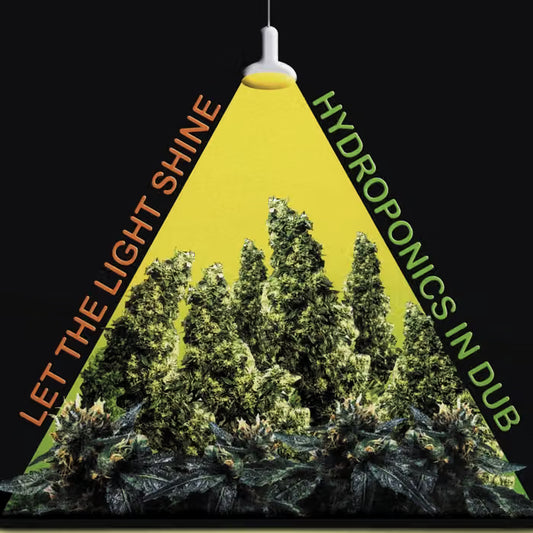 Hydroponics - Let The Light Shine GREEN VINYL (Vinyl LP) PRE-ORDER