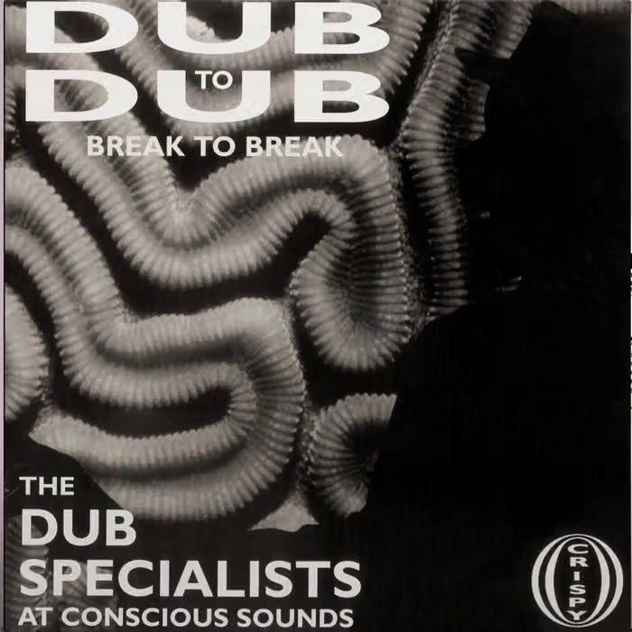 Dub Specialists - Dub To Dub Break To Break SOLID WHITE VINYL (Vinyl LP) PRE-ORDER