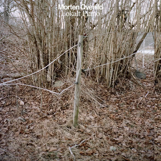 Morten Qvenild - Lokalt Piano  (Vinyl LP) PRE-ORDER