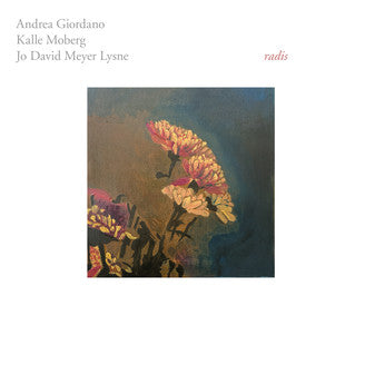 Andrea Giordano / Kalle Moberg / Jo David Meyer Lysne - Radis  (Vinyl LP) PRE-ORDER