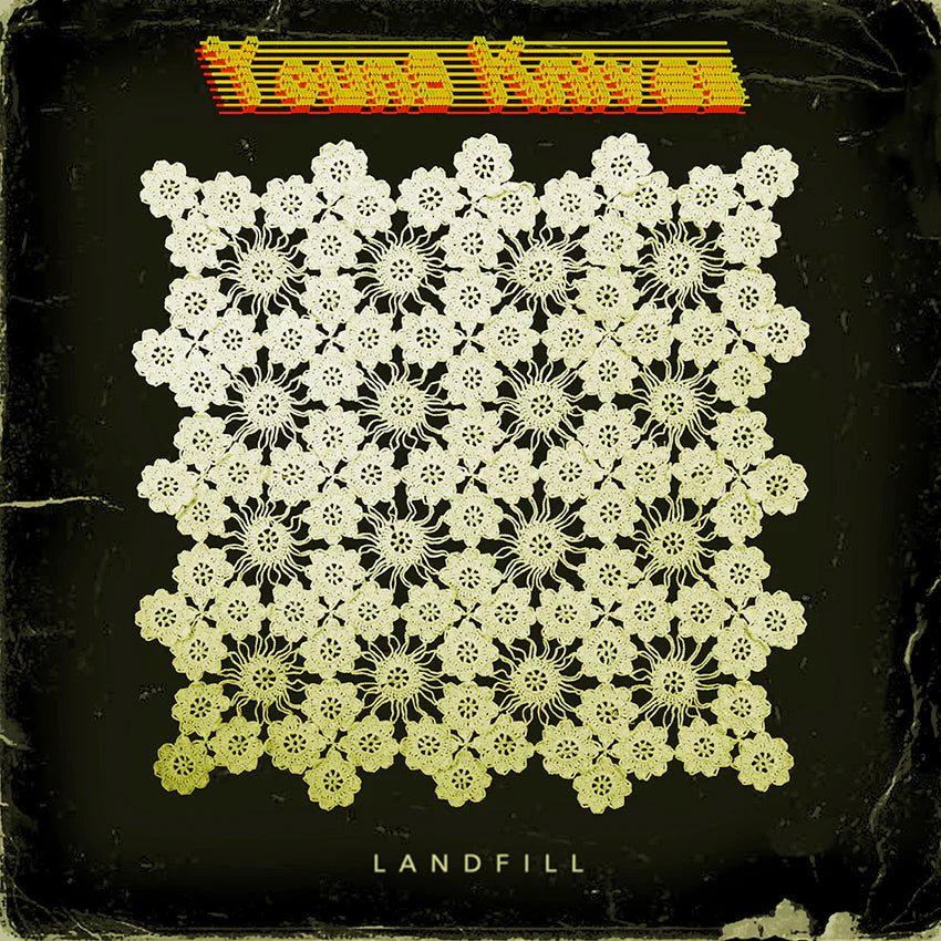 Young Knives - Landfill (Vinyl LP) PRE-ORDER