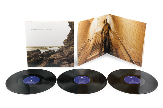 Polygon Window - Surfing On Sine Waves (Expanded Edition) (Vinyl 3LP) PRE-ORDER
