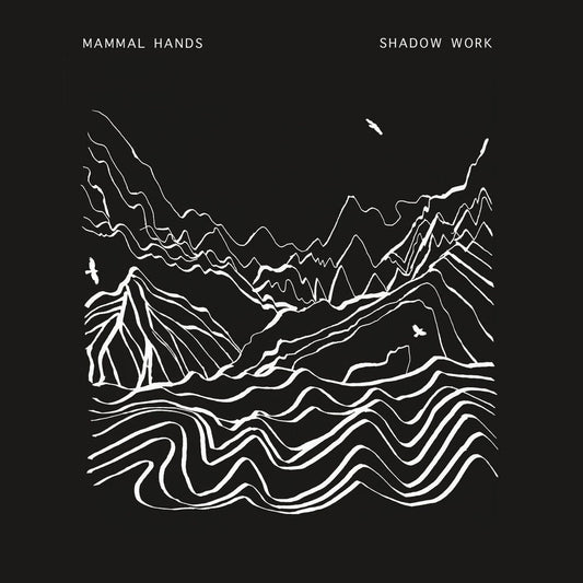 Mammal Hands - Shadow Work (Repress) 2LP (Vinyl LP) PRE-ORDER