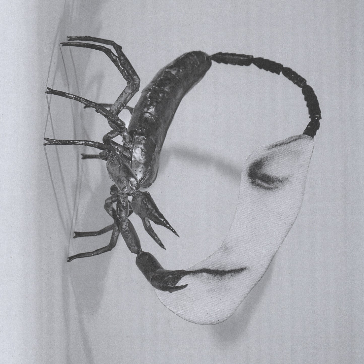 Tortoise - Touch (Vinyl LP) PRE-ORDER