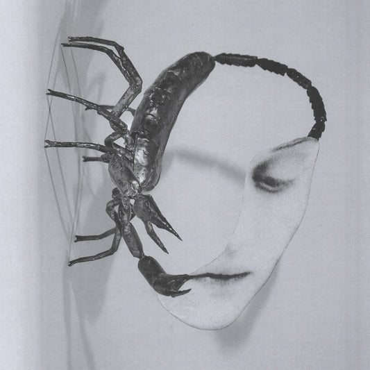 Tortoise - Touch (Vinyl LP) PRE-ORDER