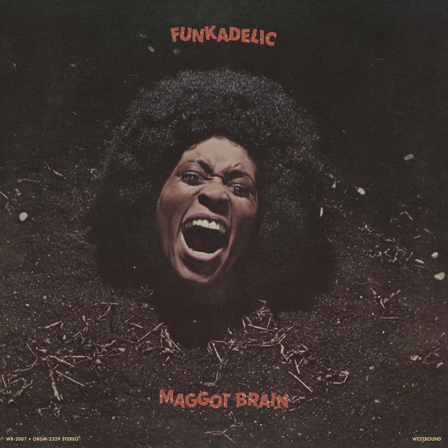 Funkadelic - Maggot Brain (Black Vinyl LP) PRE-ORDER