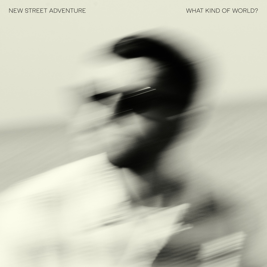 New Street Adventure - What Kind Of World? (Vinyl LP) PRE-ORDER