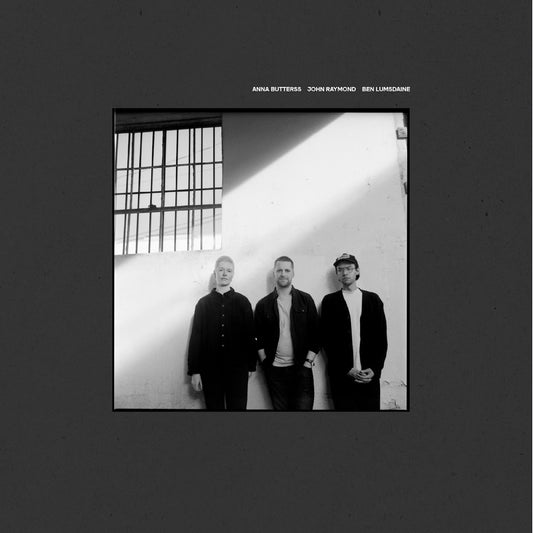 Anna Butterss, Ben Lumsdaine, John Raymond - Beginningless (Vinyl LP) PRE-ORDER